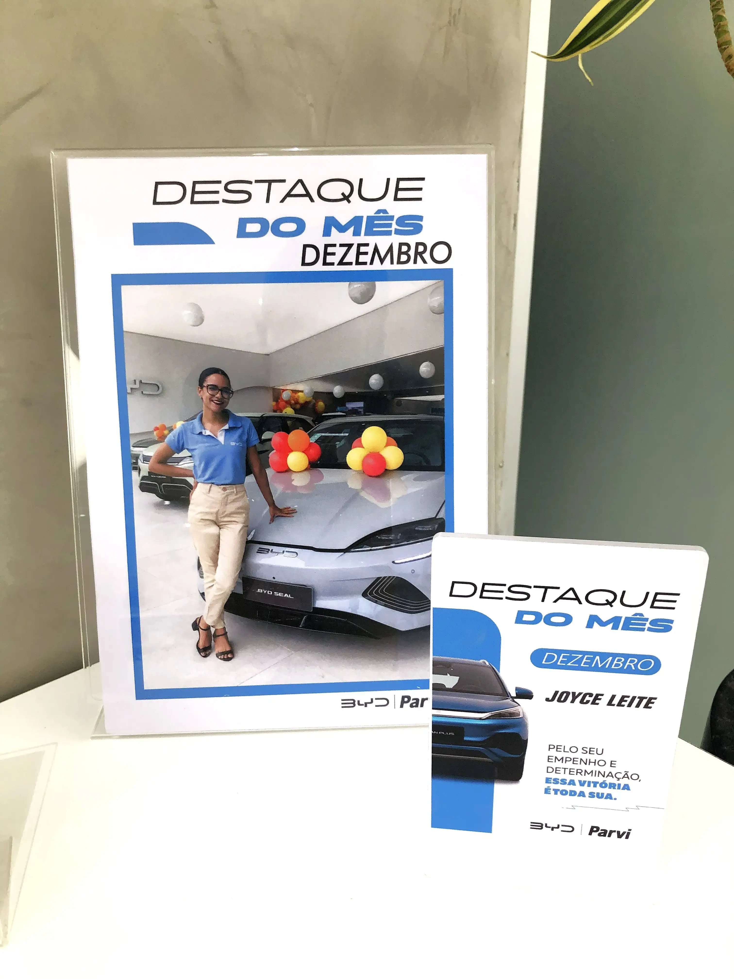 Joyce Leite - Designer e Comercial